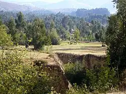 Yauli District 2008