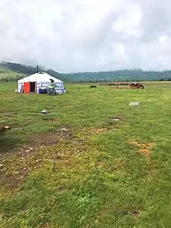 Yurt locals