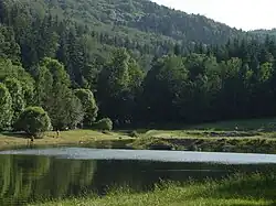 Small artificial lake in Złoty Las