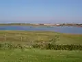 The Zwin nature reserve