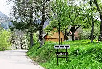 Zakojca