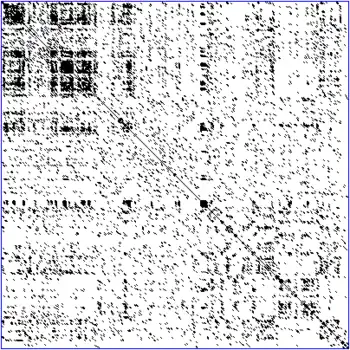 Dot plot (bioinformatics)