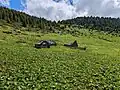 View on Zogića Stanovi katun in spring